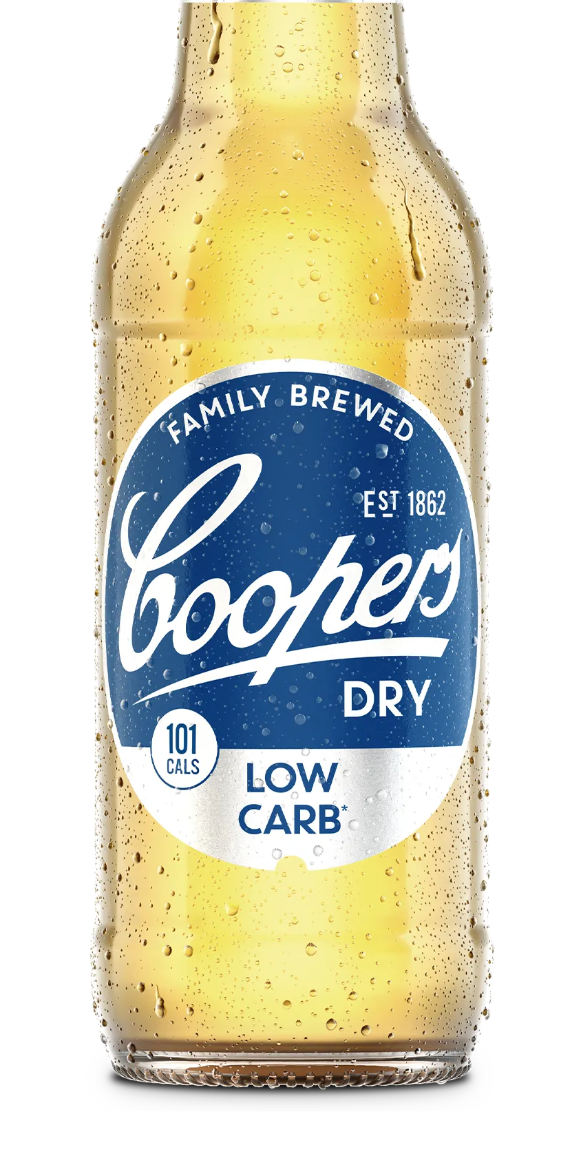 Coopers Dry pivo citrusová svěžest
