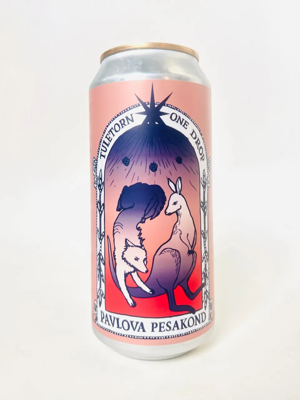 Tuletorn Pavlova Pesakond sour pivo 1 plechovka maracuja