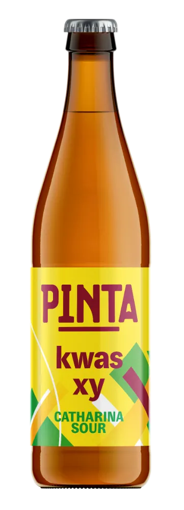 Pinta Kwas XY Catharina Sour pivo 500 ml marakuja
