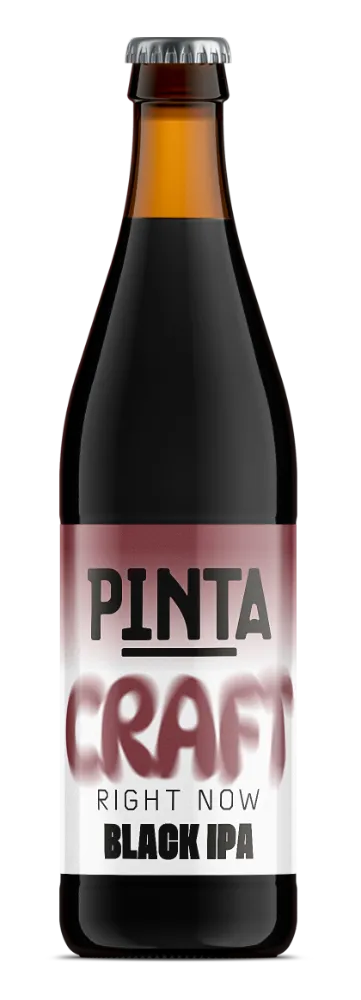 PINTA Craft Right Now Black IPA pivo 500 ml pražené