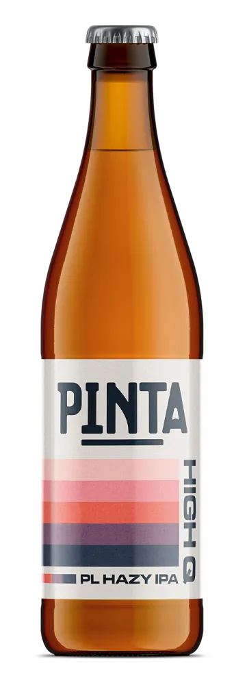 Pinta High Q Polish Hazy IPA pivo 500 ml zakalené